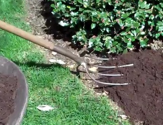 Mulching with fork